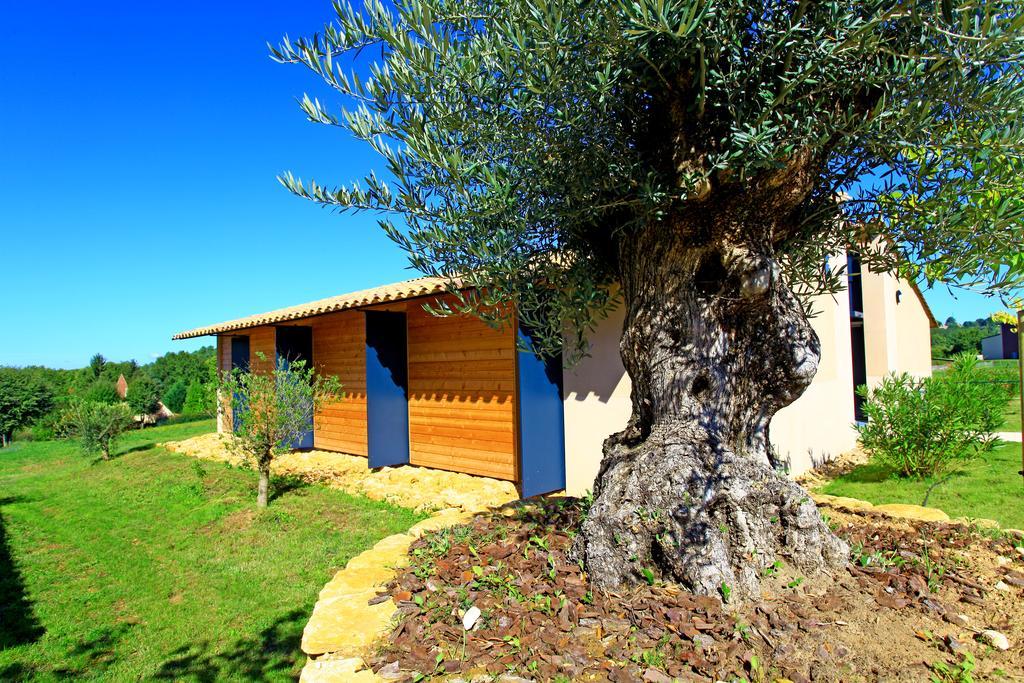 The Originals City, Hotel Albizia, Sarlat-la-Canéda Exterior foto